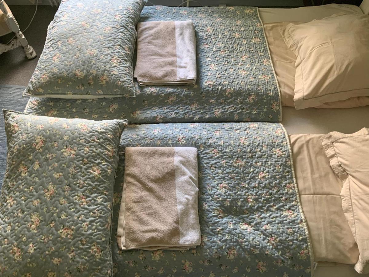 Hong Den Gamle Apotekergaard Bed & Breakfast エクステリア 写真