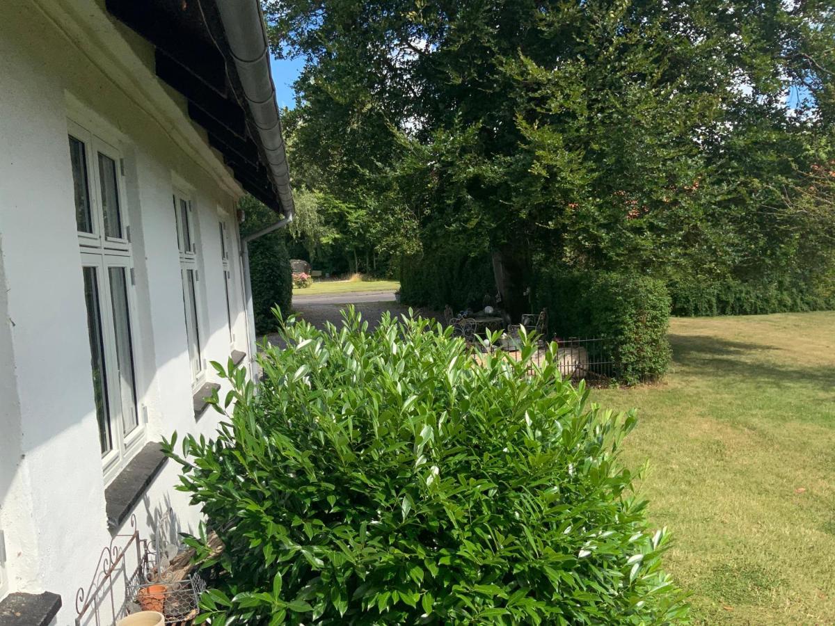Hong Den Gamle Apotekergaard Bed & Breakfast エクステリア 写真