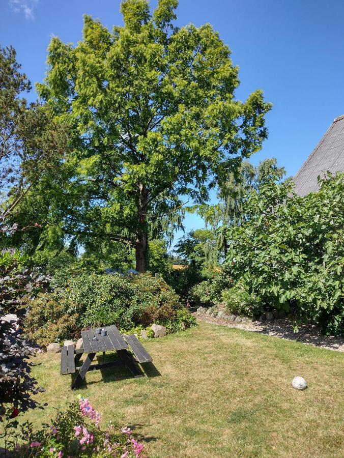 Hong Den Gamle Apotekergaard Bed & Breakfast エクステリア 写真