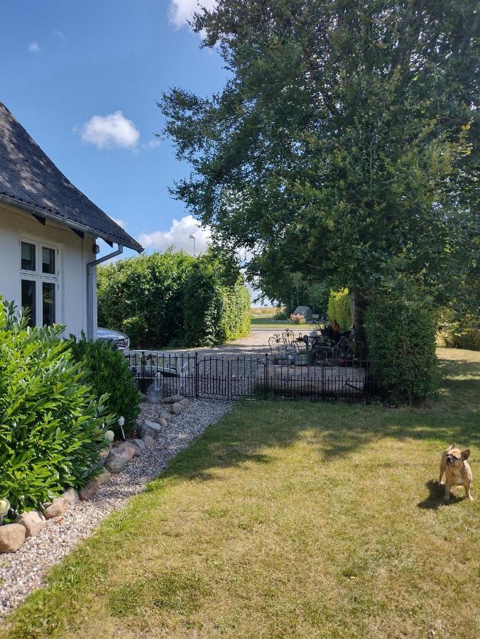 Hong Den Gamle Apotekergaard Bed & Breakfast エクステリア 写真