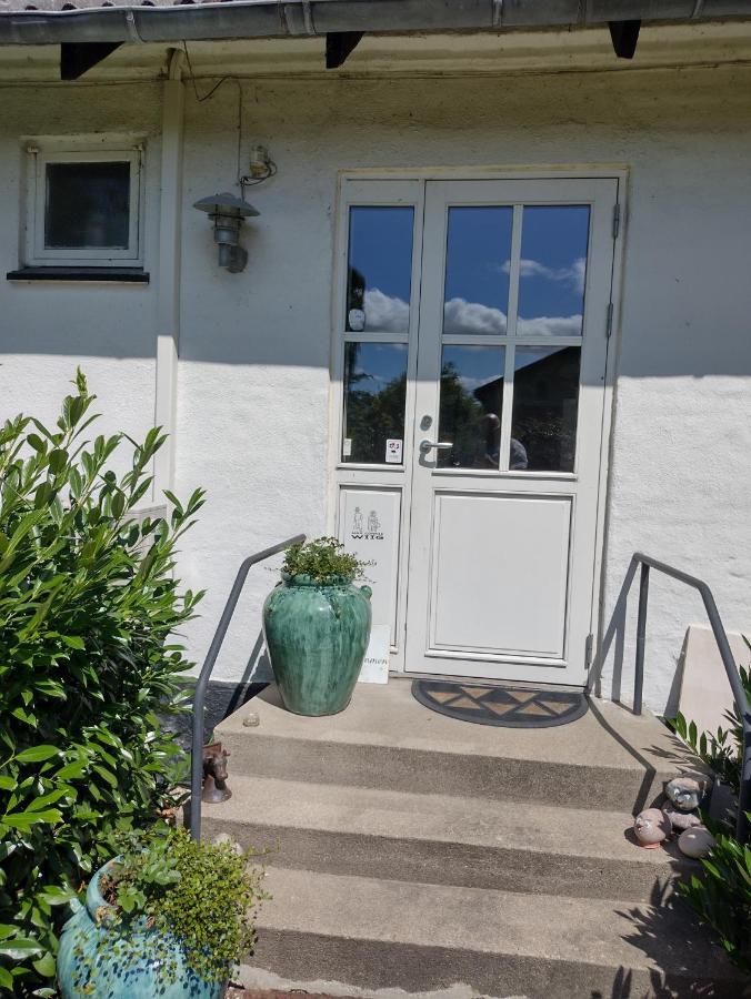 Hong Den Gamle Apotekergaard Bed & Breakfast エクステリア 写真