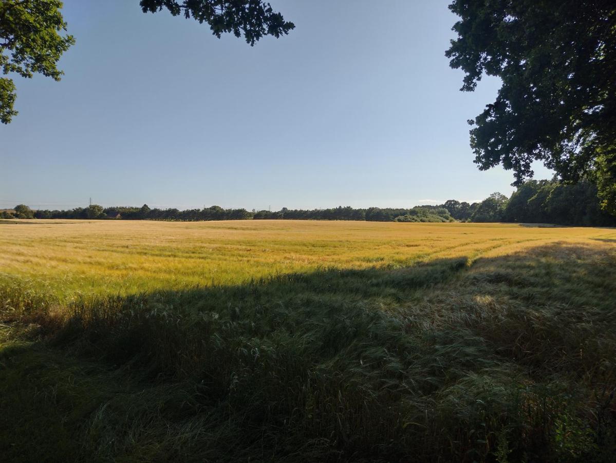 Hong Den Gamle Apotekergaard Bed & Breakfast エクステリア 写真